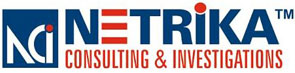 Netrika Consulting India Pvt. Ltd.